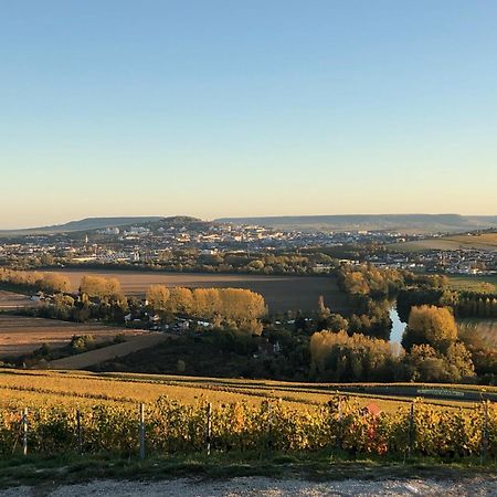 Maison Et Jardin A Epernay Centre Ville エクステリア 写真